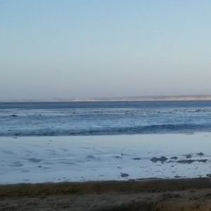 Meet your Posher, Paul